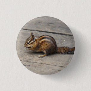 Chipmunk Pinback Button