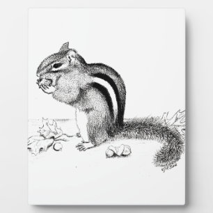 Chipmunk Plaque