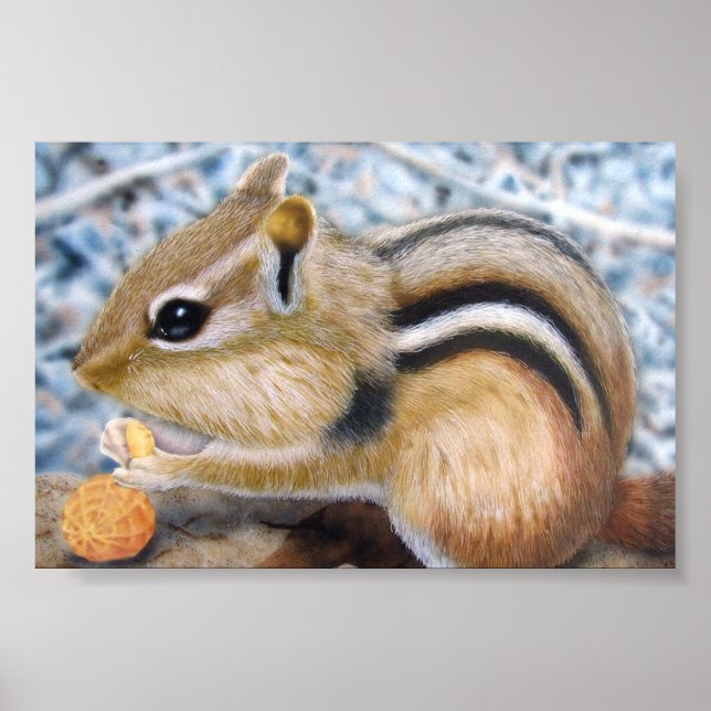Chipmunk Poster (Front)
