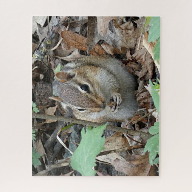 Chipmunk Puzzle (Vertical)