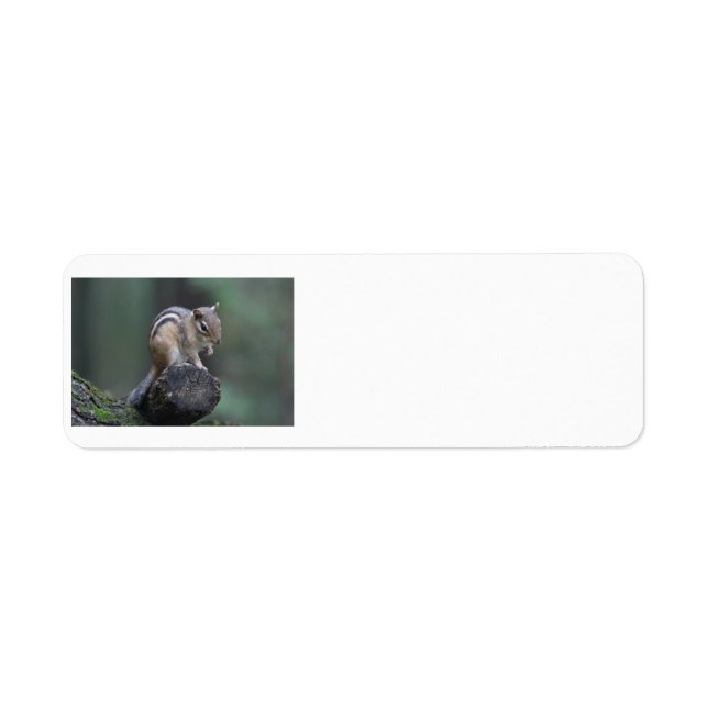 Chipmunk return address labels (Front)