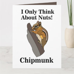 Chipmunk Rodent Funny Card