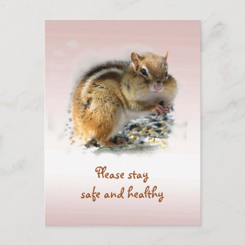 Chipmunk Says Please Stay Safe Healthy Postcard
