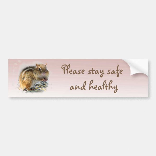 Chipmunk Says Stay Safe and Healthy Bumper Sticker