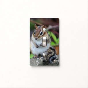 Chipmunk Sitting Animal Light Switch Cover
