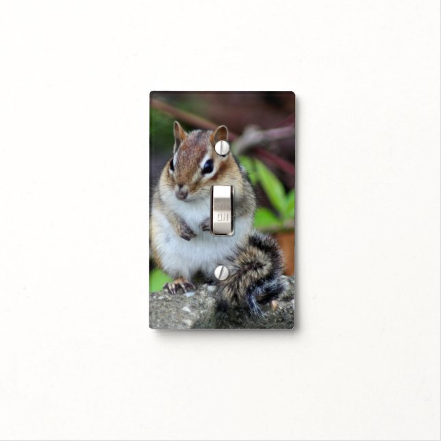 Chipmunk Sitting Animal Light Switch Cover (In Situ)