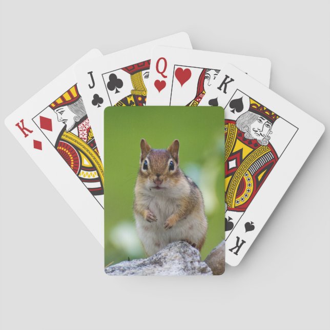 Chipmunk sitting on a rock poker cards (Back)