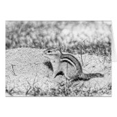 Chipmunk Sketch (Front Horizontal)