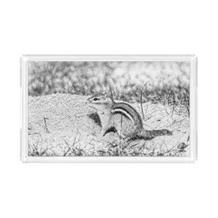 Chipmunk Sketch Acrylic Tray