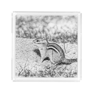 Chipmunk Sketch Acrylic Tray
