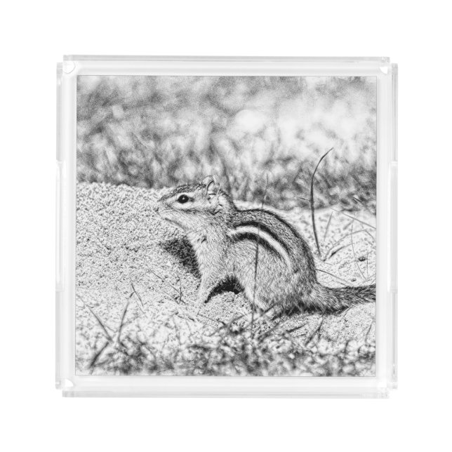 Chipmunk Sketch Acrylic Tray (Front)