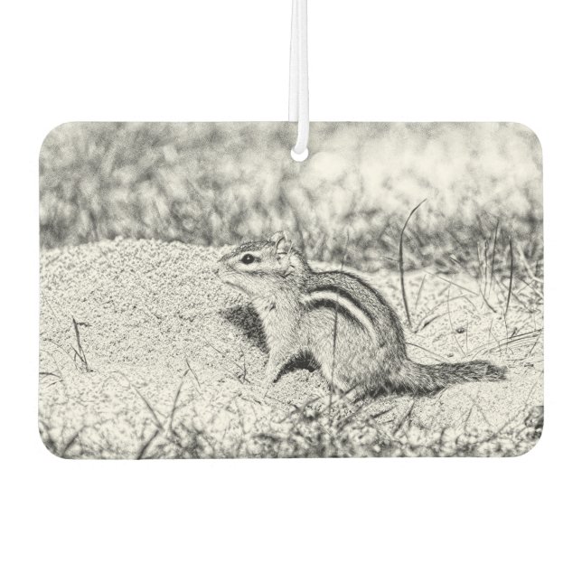 Chipmunk Sketch Air Freshener (Front)