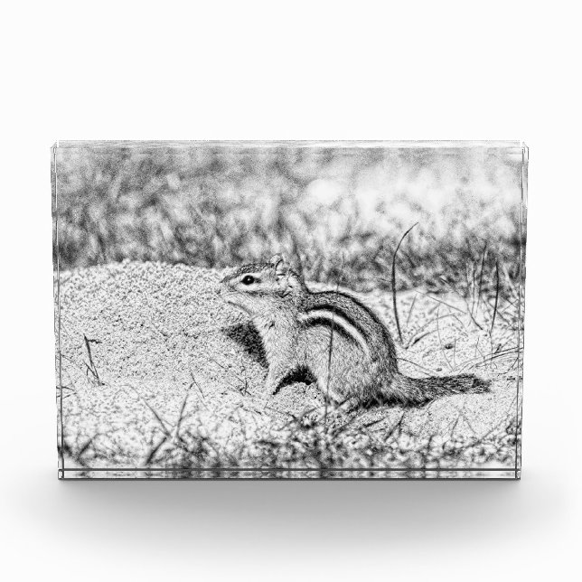 Chipmunk Sketch Award (Front)
