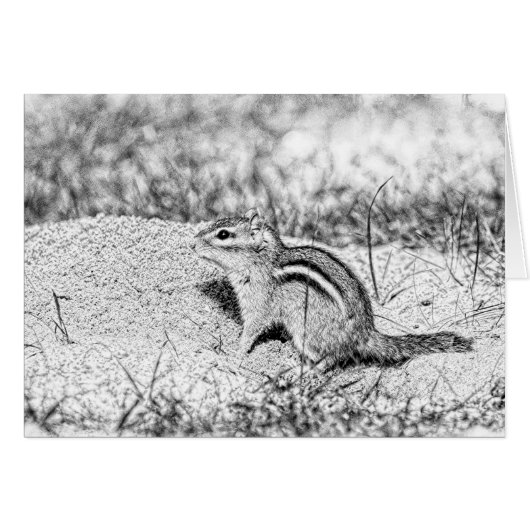 Chipmunk Sketch Cards (Front Horizontal)