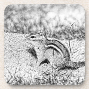 Chipmunk Sketch Coaster