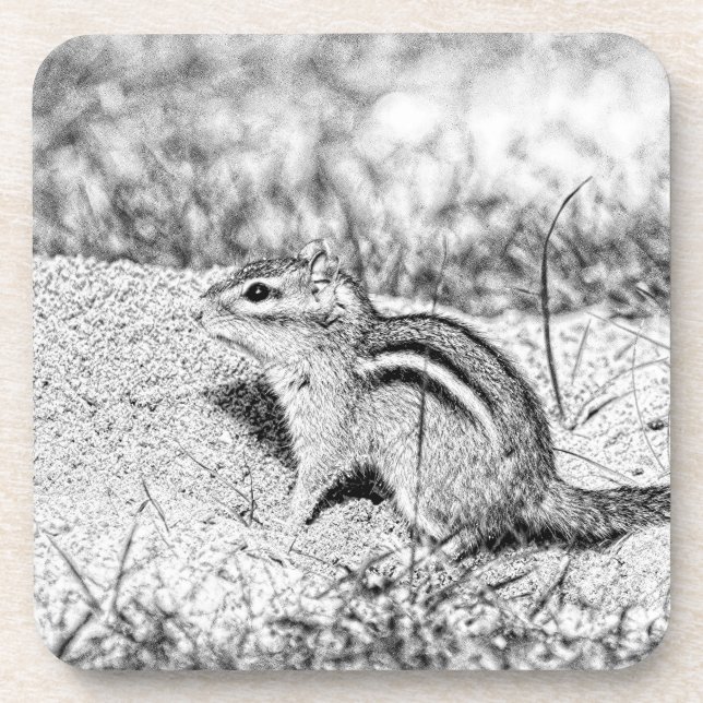 Chipmunk Sketch Coaster (Front)