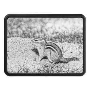 Chipmunk Sketch Hitch Cover