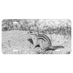 Chipmunk Sketch License Plate