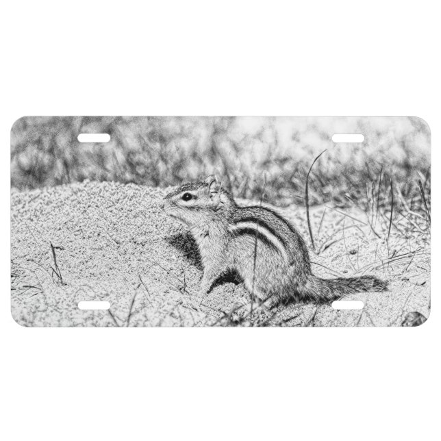 Chipmunk Sketch License Plate (Front)