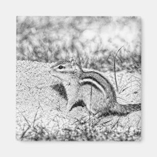 Chipmunk Sketch Magnet