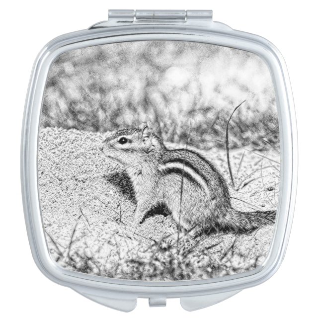 Chipmunk Sketch Mirror For Makeup (Front)