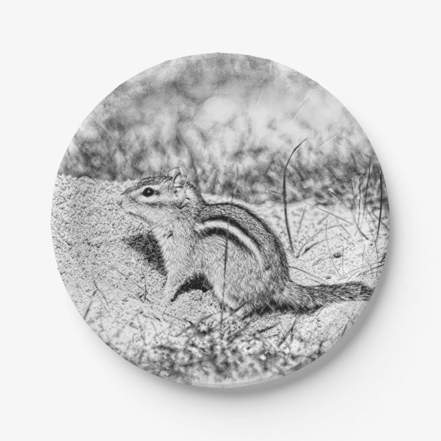 Chipmunk Sketch Paper Plates (Front)