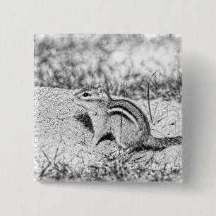 Chipmunk Sketch Pinback Button