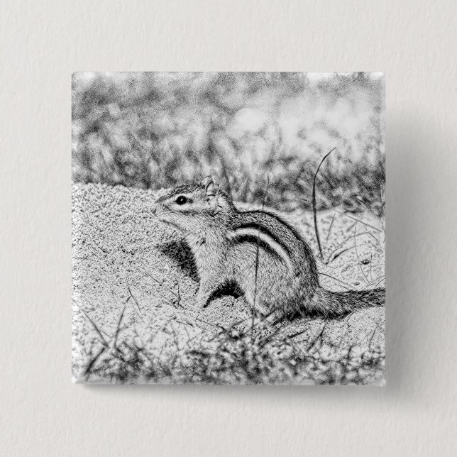 Chipmunk Sketch Pinback Button (Front)