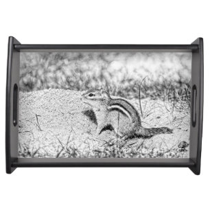 Chipmunk Sketch Serving Tray