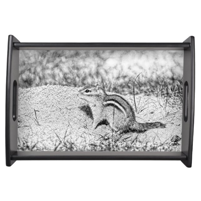 Chipmunk Sketch Serving Tray (Front)