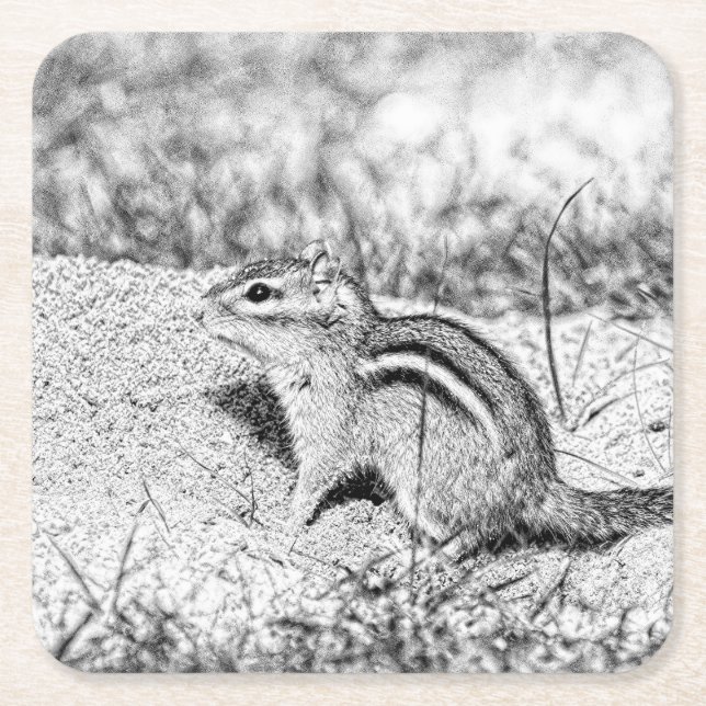 Chipmunk Sketch Square Paper Coaster (Front)