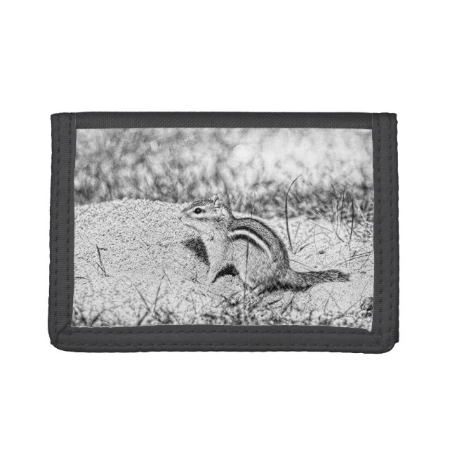 Chipmunk Sketch Trifold Wallet (Front)