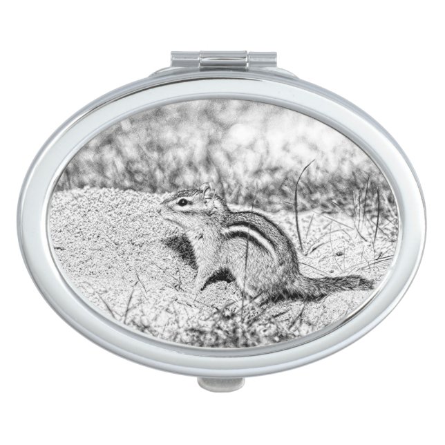 Chipmunk Sketch Vanity Mirror (Front)