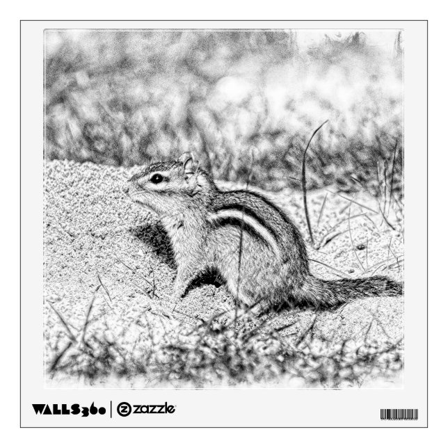Chipmunk Sketch Wall Decal (Front)