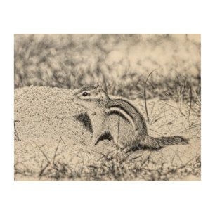 Chipmunk Sketch Wood Wall Art