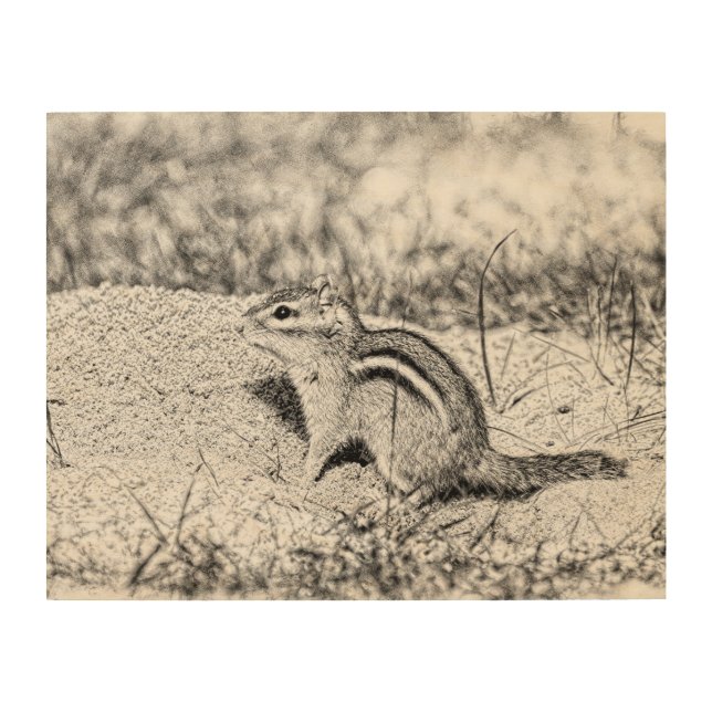 Chipmunk Sketch Wood Wall Art (Front)
