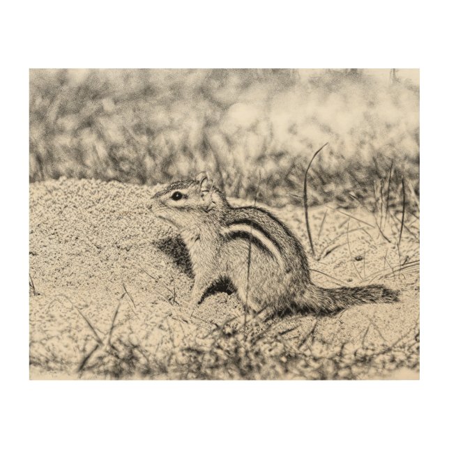 Chipmunk Sketch Wood Wall Decor (Front)