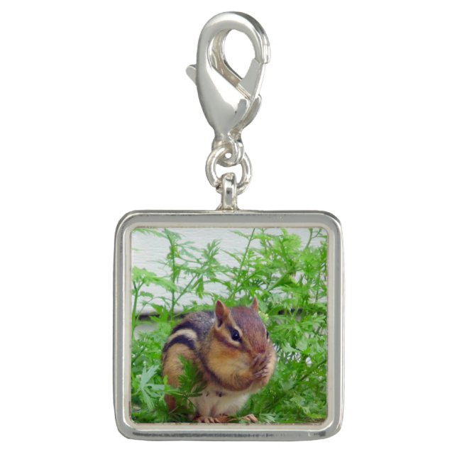 Chipmunk Square Charm (Front)