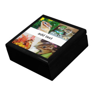 chipmunk , squirrel , gift box
