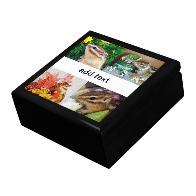 chipmunk , squirrel , gift box (Side)