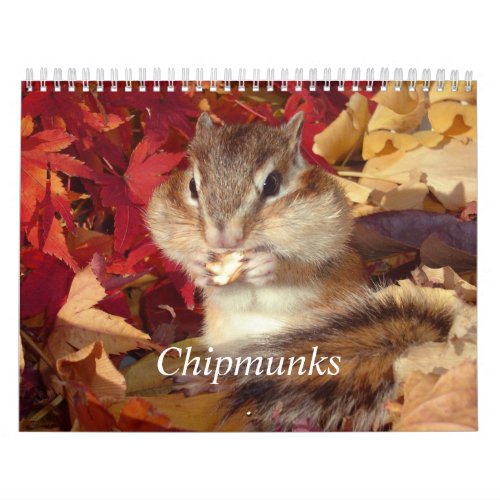 chipmunkSquirrelphotocalendar Calendar