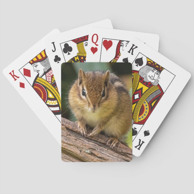Chipmunk Stare Poker Cards (Back)