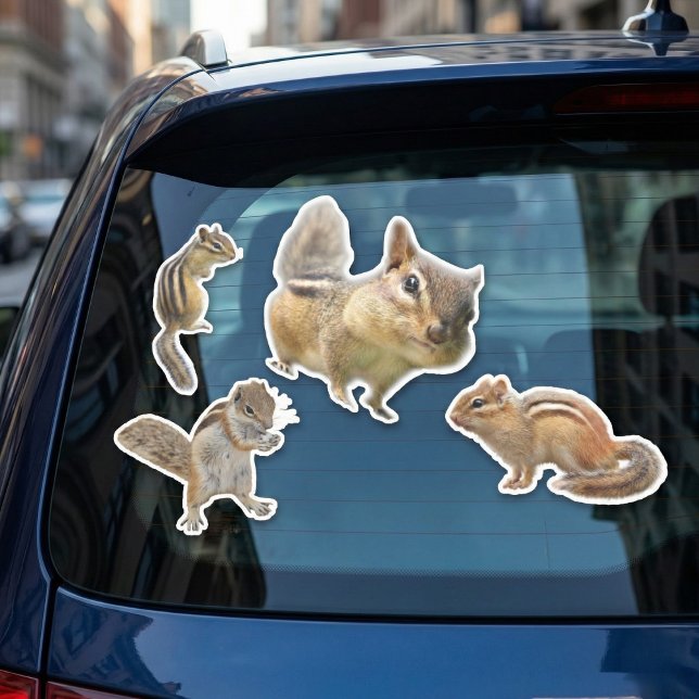 Chipmunk Sticker Collection (Always cute never boring.)