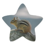 Chipmunk Stickers