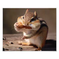 Chipmunk Stuffing His Face Throw Pillow