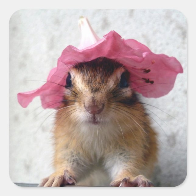 Chipmunk wears flower hat square sticker (Front)
