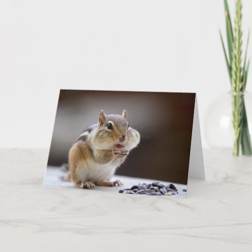Chipmunk with Cheeks Full Photo Card