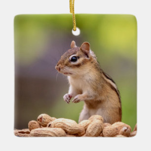 Chipmunk with peanuts ceramic ornament