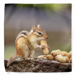Chipmunk with peanuts in the Adirondacks Bandana