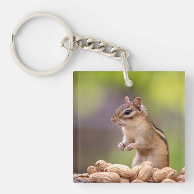 Chipmunk with peanuts keychain (Front)